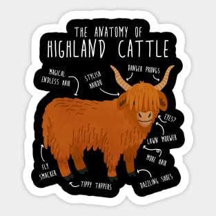 Highland Cow Anatomy Sticker